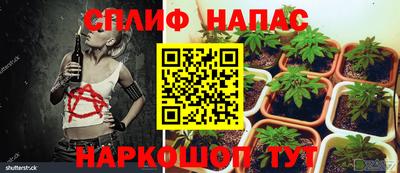 метадон Лесосибирск