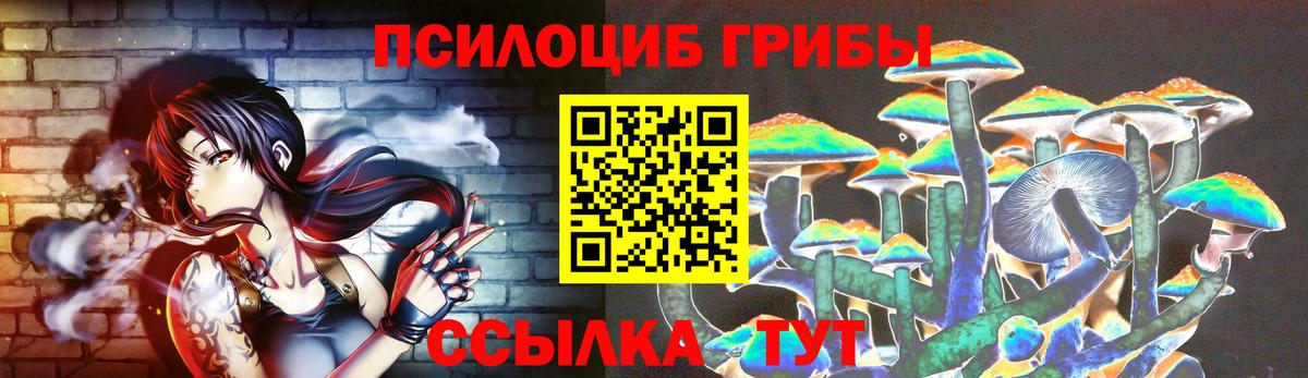 Галлюциногенные грибы Psilocybe Шарыпово